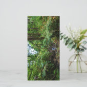 エルユンケ熱帯雨林の熱帯植物 (スタンド正面)