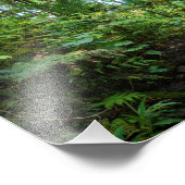 エルユンケ熱帯雨林の熱帯植物 フォトプリント            (角)