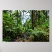 エルユンケ熱帯雨林の熱帯植物 ポスター (正面)