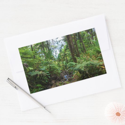 エルユンケ熱帯雨林の熱帯植物 長方形シール (封筒)