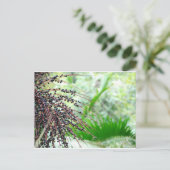 エルユンケ雨林 ポストカード (スタンド正面)