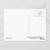 エルユンケ雨林 ポストカード (裏面)