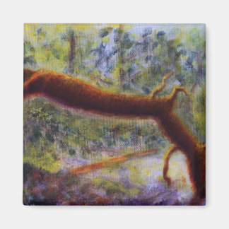 エルラ峡谷、磁石 マグネット