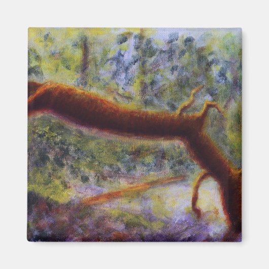 エルラ峡谷、磁石 マグネット (正面)