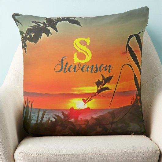 エルリオピティラル2009 クッション