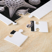 エルンストハイケルタラモホラI ジグソーパズル (側面)