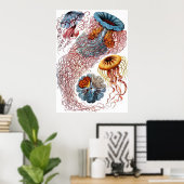 エルンストハイケルディスコメデス ポスター (ホームオフィス)