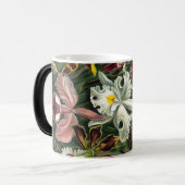 エルンストハエッケルアートプリント:Orchidae Oncidiums,チューリップ モーフィングマグカップ (正面左)