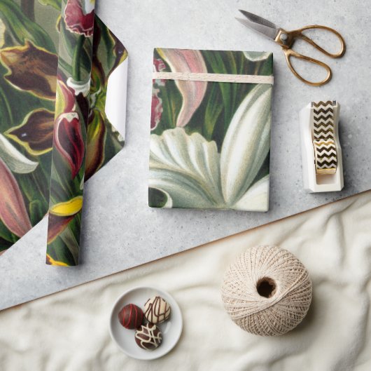 エルンストハエッケルアートプリント:Orchidae Oncidiums,チューリップ ラッピングペーパー (クラフト)