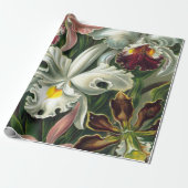 エルンストハエッケルアートプリント:Orchidae Oncidiums,チューリップ ラッピングペーパー (アンロールド)