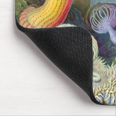 エルンストハエッケルクンストフォルメンデルナトゥールアクチニエ マウスパッド (コーナー)