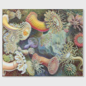 エルンストハエッケルクンストフォルメンデルナトゥールアクチニエ ラッピングペーパー (フラット)