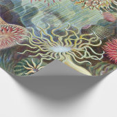 エルンストハエッケルクンストフォルメンデルナトゥールアクチニエ ラッピングペーパー (角)