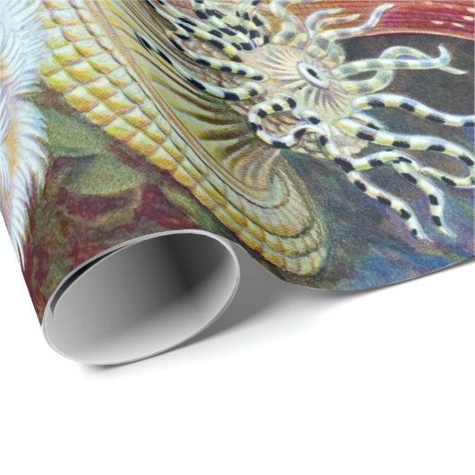 エルンストハエッケルクンストフォルメンデルナトゥールアクチニエ ラッピングペーパー (ロールコーナー)