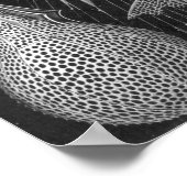 エルンストハエッケルチルトアイア ポスター (角)