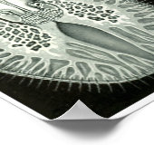 エルンストヘイケルアートフォームオブ自然プリント ポスター (角)