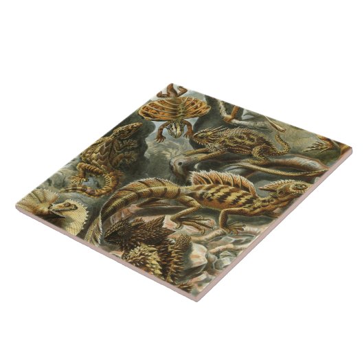 エルンストヘイケルオールドファッションイラストレーションラケルティリア タイル (側面)