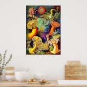 エルンストヘイケルズシーアネモネス ポスター (キッチン)