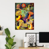 エルンストヘイケルズシーアネモネス ポスター (ホームオフィス)