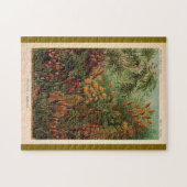 エルンストヘイケルムシナヴィンテージイラストレーション ジグソーパズル (横)