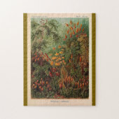 エルンストヘイケルムシナヴィンテージイラストレーション ジグソーパズル (縦)