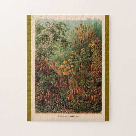 エルンストヘイケルムシナヴィンテージイラストレーション ジグソーパズル (縦)