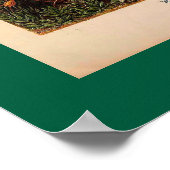 エルンストヘイケルムシナヴィンテージイラストレーション ポスター (角)