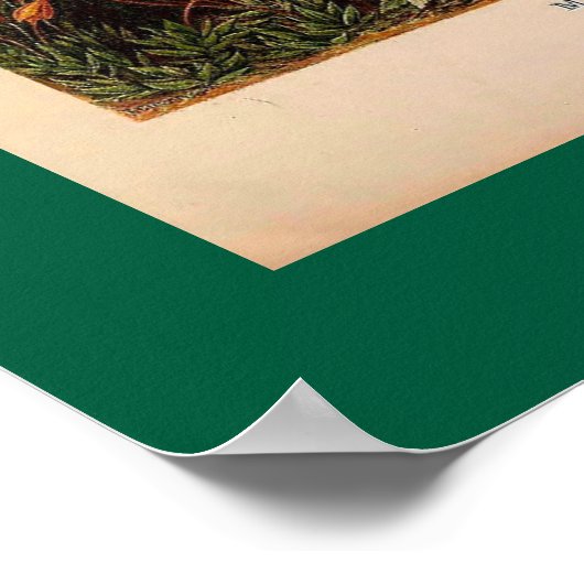 エルンストヘイケルムシナヴィンテージイラストレーション ポスター (角)