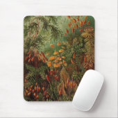 エルンストヘイケルムシナヴィンテージイラストレーション マウスパッド (マウス)