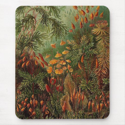 エルンストヘイケルムシナヴィンテージイラストレーション マウスパッド (正面)