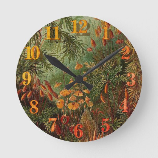 エルンストヘイケルムシナヴィンテージイラストレーション ラウンド壁時計 (正面)