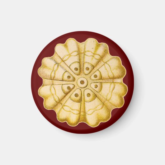 エルンストヘイケル マグネット (正面)