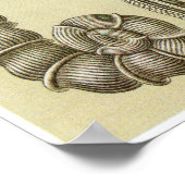 エルンストヘッケルアートプリント：タラモホラ ポスター (角)