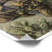 エルンストヘッケルアートプリント:チェロニア ポスター (角)