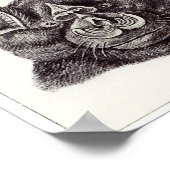 エルンストヘッケルアートプリント：チロプテラ ポスター (角)