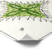 エルンストヘッケルアートプリント：デミディエア ポスター (角)