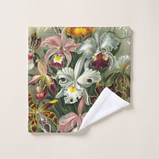 エルンストヘッケルオーキッド – アート型枠の自然 バスタオルセット (ウォッシュタオル)