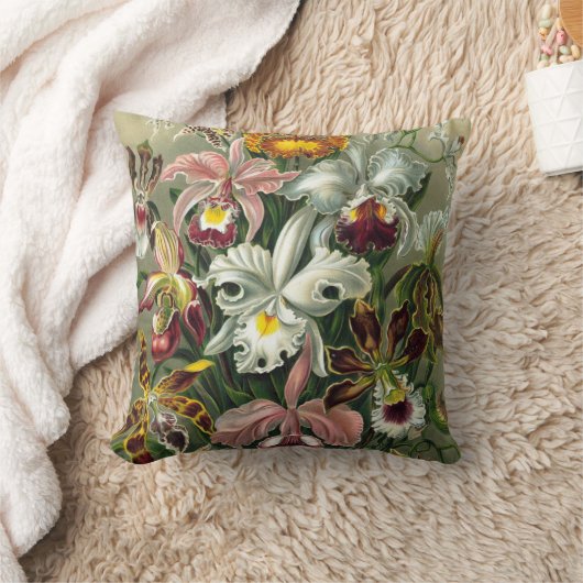 エルンストヘッケルオーランズ、ヴィンテージ熱帯雨林の花 クッション (ブランケット)