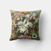 エルンストヘッケルオーランズ、ヴィンテージ熱帯雨林の花 クッション (裏面)