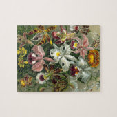 エルンストヘッケルオーランズ、ヴィンテージ熱帯雨林の花 ジグソーパズル (横)