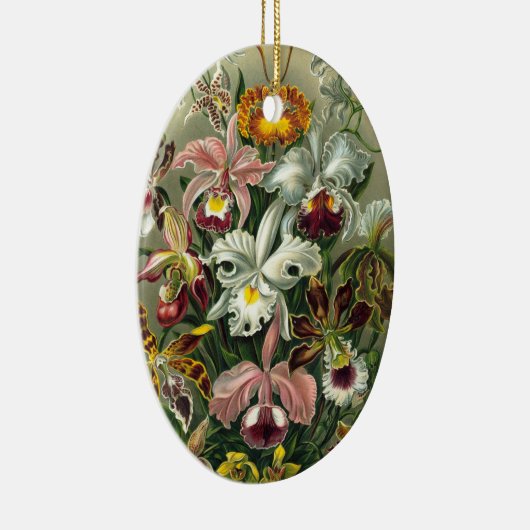 エルンストヘッケルオーランズ、ヴィンテージ熱帯雨林の花 セラミックオーナメント (右)