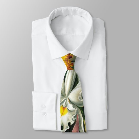 エルンストヘッケルオーランズ、ヴィンテージ熱帯雨林の花 ネクタイ (タイ)