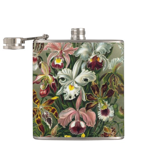 エルンストヘッケルオーランズ、ヴィンテージ熱帯雨林の花 フラスク (オープン)