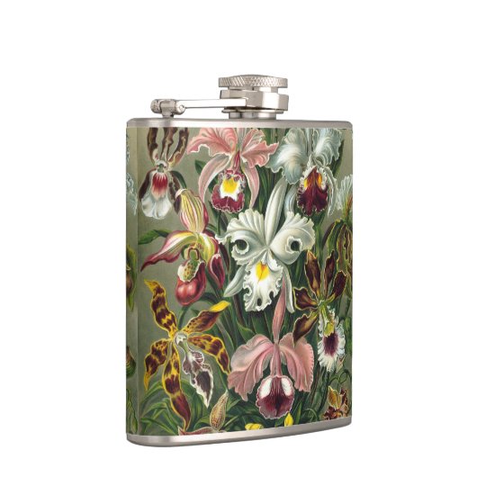 エルンストヘッケルオーランズ、ヴィンテージ熱帯雨林の花 フラスク (右)