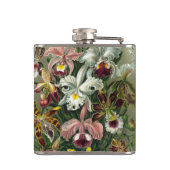 エルンストヘッケルオーランズ、ヴィンテージ熱帯雨林の花 フラスク (裏面)