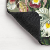 エルンストヘッケルオーランズ、ヴィンテージ熱帯雨林の花 マウスパッド (コーナー)