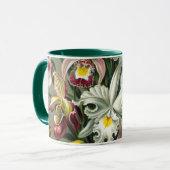 エルンストヘッケルオーランズ、ヴィンテージ熱帯雨林の花 マグカップ (正面左)