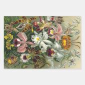 エルンストヘッケルオーランズ、ヴィンテージ熱帯雨林の花 ラッピングペーパーシート (正面)