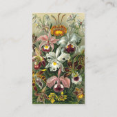 エルンストヘッケルオーランズ、ヴィンテージ熱帯雨林の花 名刺 (裏面)