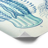 エルンストヘッケルクテノフォレクラゲ ポスター (角)